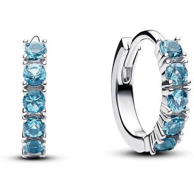 Pandora Timeless örhängen 293849C01 Pandora Timeless örhängen 293849C01