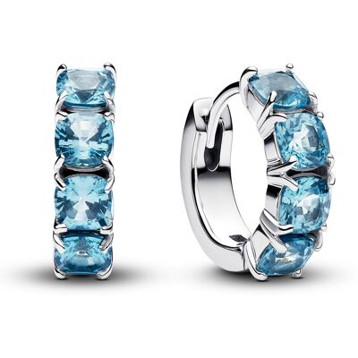 Pandora Timeless örhängen 293851C01 Pandora Timeless örhängen 293851C01