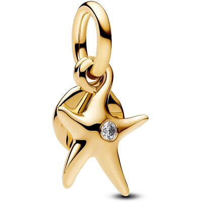 Pandora Moments berlock 763892C01 Pandora Moments berlock 763892C01