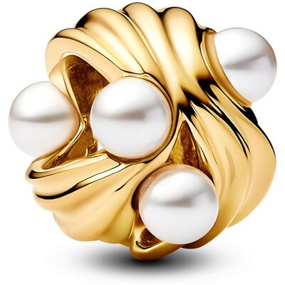 Pandora Moments berlock 763915C01 Pandora Moments berlock 763915C01