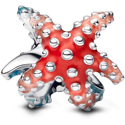 Pandora Moments berlock 793817C01 Pandora Moments berlock 793817C01