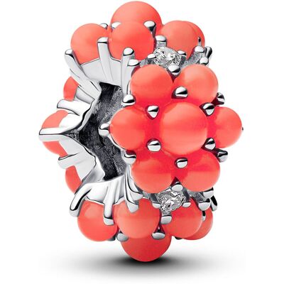 Pandora Moments berlock 793897C01 Pandora Moments berlock 793897C01