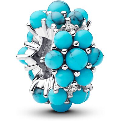 Pandora Moments berlock 793897C02 Pandora Moments berlock 793897C02