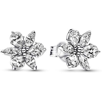 Pandora Timeless Sparkling Herbarium Cluster örhängen 292633C01 Pandora Timeless Sparkling Herbarium Cluster örhängen 292633C01