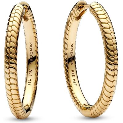 Pandora Moments Charm örhängen 269532C00 Pandora Moments Charm örhängen 269532C00