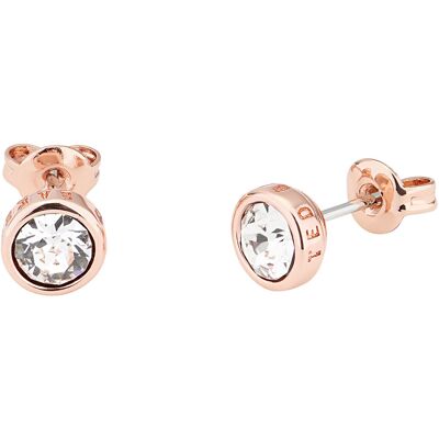 Ted Baker Sinaa Crystal stiftörhängen TBJ1084-24-02 Ted Baker Sinaa Crystal stiftörhängen TBJ1084-24-02