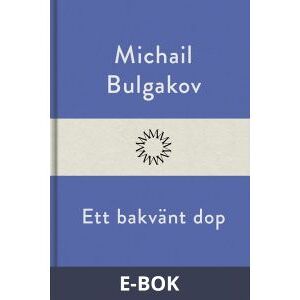 Ett bakvänt dop, E-bok