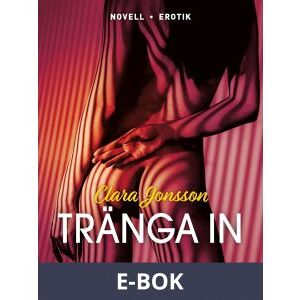 Tränga in, E-bok