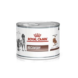 ROYAL CANIN Veterinary Recovery   12 x 195 g   komplett kostfoder för vuxna hundar och katter   ultratunt skum med hög proteinhalt
