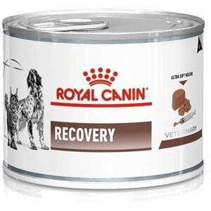 ROYAL CANIN Veterinary Diet Recovery hund/kattmat