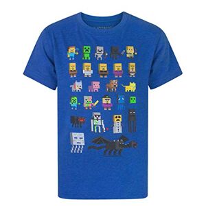 5056030854248 Minecraft Sprites pojkar kortärmad t-shirt, blå, 9-10 År