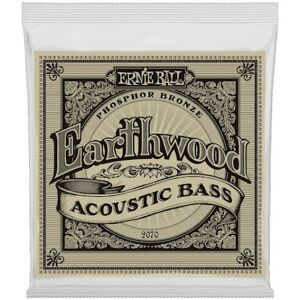 Ernie Ball 2070 Earthwood Acoustic Bass Phosphor Broonze 045-095