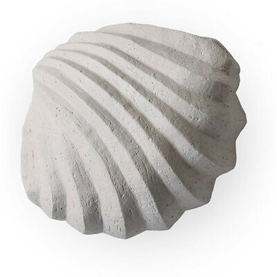 Cooee Design Sculpture The Clam Shell Coal H:5.5CM LIMESTONE H:5.5CM Cooee Design Sculpture The Clam Shell Coal H:5.5CM LIMESTONE H:5.5CM