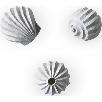 Cooee Design Sculpture The Genesis Shells Coal H:4CM LIMESTONE H:4CM Cooee Design Sculpture The Genesis Shells Coal H:4CM LIMESTONE H:4CM