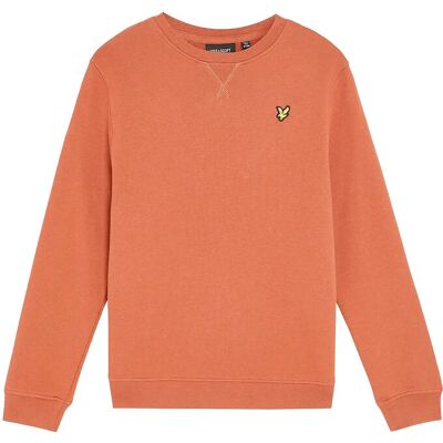 Scott Crew Neck Sweatshirt 122-128 X850 BRICK 122-128 Scott Crew Neck Sweatshirt 122-128 X850 BRICK 122-128