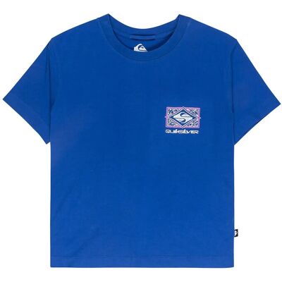Quiksilver Standard Ss Tee L SURF THE WEB L Quiksilver Standard Ss Tee L SURF THE WEB L