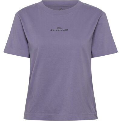 Quiksilver Standard Ss Tee XL DAYBREAK XL Quiksilver Standard Ss Tee XL DAYBREAK XL