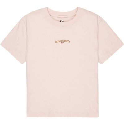 Quiksilver Standard Ss Tee S ROSEWATER S Quiksilver Standard Ss Tee S ROSEWATER S