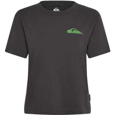Quiksilver Standard Ss Tee S TARMAC S Quiksilver Standard Ss Tee S TARMAC S