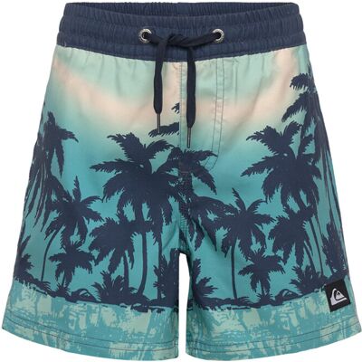 Quiksilver Everyday Printed Volley Yth 14 128 AQUA THERMOTROPICS 128 Quiksilver Everyday Printed Volley Yth 14 128 AQUA THERMOTROPICS 128