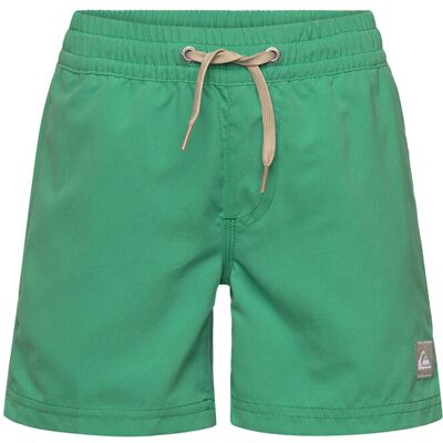 Quiksilver Everyday Volley Yth 14 176 LEPRECHAUN 176 Quiksilver Everyday Volley Yth 14 176 LEPRECHAUN 176