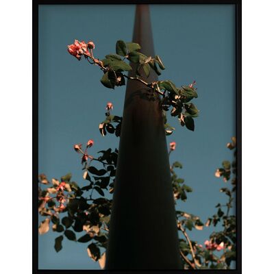 Democratic Gallery Poster Flowers 45X60 BLUE 45X60 Democratic Gallery Poster Flowers 45X60 BLUE 45X60