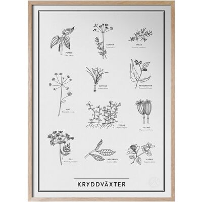 Kunskapstavlan® Kryddväxter 50X70 BLACK & WHITE 50X70 Kunskapstavlan® Kryddväxter 50X70 BLACK & WHITE 50X70