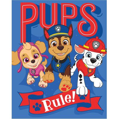 BrandMac Fleece Plaid Paw Patrol Pp 1003 130X170CM MULTI COLOURED 130X170CM BrandMac Fleece Plaid Paw Patrol Pp 1003 130X170CM MULTI COLOURED 130X170CM