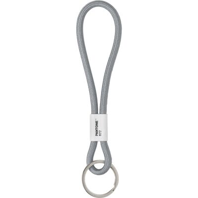 Pantone Key Chain Short 18 cm SILVER 877 C 18 cm Pantone Key Chain Short 18 cm SILVER 877 C 18 cm