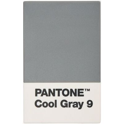 Pantone Creditcard Holder In Matte And Giftbox H:11CM COOL GRAY 9 H:11CM Pantone Creditcard Holder In Matte And Giftbox H:11CM COOL GRAY 9 H:11CM