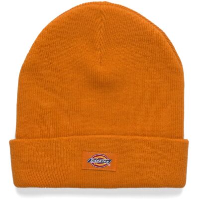Dickies M Gibsland Beanie ONE SIZE AUTUMN MAPLE ONE SIZE Dickies M Gibsland Beanie ONE SIZE AUTUMN MAPLE ONE SIZE