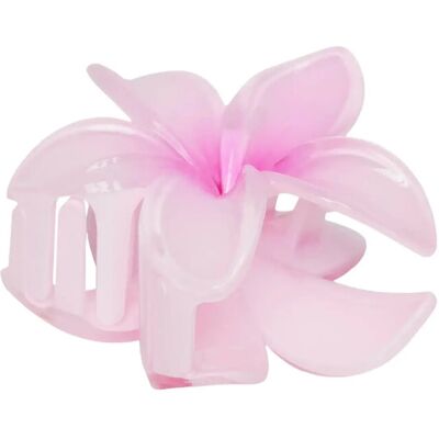 Pieces Pcanika Hairshark Sww ONE SIZE CANDY PINK ONE SIZE Pieces Pcanika Hairshark Sww ONE SIZE CANDY PINK ONE SIZE