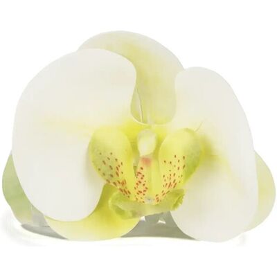 SUI AVA Orchid Middle ONE SIZE GREEN ONE SIZE SUI AVA Orchid Middle ONE SIZE GREEN ONE SIZE