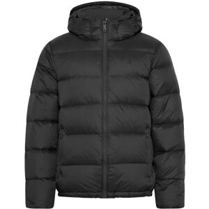 Calvin Ls Nylon Zip Off Hood Down Puffe M ASPHALT M Calvin Ls Nylon Zip Off Hood Down Puffe M ASPHALT M