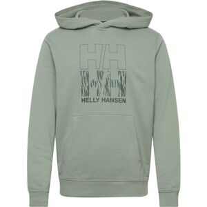 Helly Hansen Core Graphic Sweat Hoodie L EUCALYPTUS L Helly Hansen Core Graphic Sweat Hoodie L EUCALYPTUS L