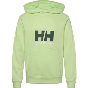 Helly Hansen Core Graphic Sweat Hoodie XL WASHED LIME XL Helly Hansen Core Graphic Sweat Hoodie XL WASHED LIME XL