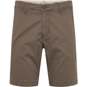 Levi's® Xx Chino Shorts Ii Maitake Bro 36 BROWNS 36 Levi's® Xx Chino Shorts Ii Maitake Bro 36 BROWNS 36