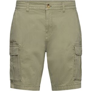 O'neill Essentials Cargo Shorts 29 AVERY FERN 29 O'neill Essentials Cargo Shorts 29 AVERY FERN 29