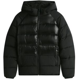 Tommy Jeans Tjm Hooded Gloss Matt Puffer Ext L BLACK L Tommy Jeans Tjm Hooded Gloss Matt Puffer Ext L BLACK L