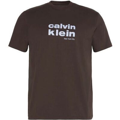 Calvin Ss 30S Whsl Ckj Jersey Graphic T M RICH BROWN M Calvin Ss 30S Whsl Ckj Jersey Graphic T M RICH BROWN M