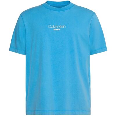 Calvin Ss 20S Acid Wash Graphic Crewnk L FRENCH BLUE L Calvin Ss 20S Acid Wash Graphic Crewnk L FRENCH BLUE L