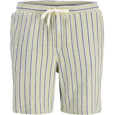 Jack & Jones Jpstjaiden Coba Stripe Jog Shorts Reg Ln XL TEA XL Jack & Jones Jpstjaiden Coba Stripe Jog Shorts Reg Ln XL TEA XL