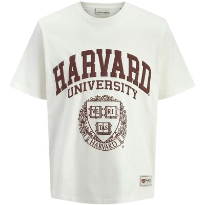 Jack & Jones Jorharvard Tee Ss C.n Styd Ss25 S EGRET S Jack & Jones Jorharvard Tee Ss C.n Styd Ss25 S EGRET S