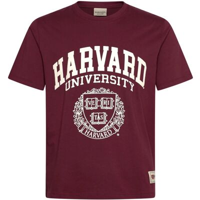 Jack & Jones Jorharvard Tee Ss C.n Styd Ss25 S MAROON BANNER S Jack & Jones Jorharvard Tee Ss C.n Styd Ss25 S MAROON BANNER S