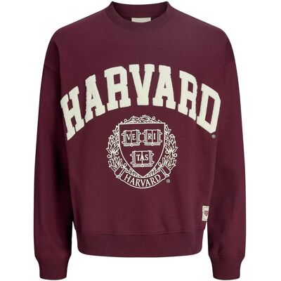 Jack & Jones Jorharvard Sweat C.n Styd Ss25 L MAROON BANNER L Jack & Jones Jorharvard Sweat C.n Styd Ss25 L MAROON BANNER L