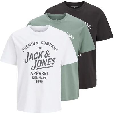 Jack & Jones Jprbluzane Ss Tee Fst 3Pk Mp XXL LAUREL WREATH XXL Jack & Jones Jprbluzane Ss Tee Fst 3Pk Mp XXL LAUREL WREATH XXL