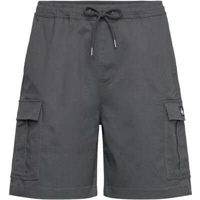 Quiksilver Taxer Cargo Ws M IRON GATE M Quiksilver Taxer Cargo Ws M IRON GATE M