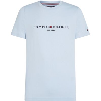 Tommy Hilfiger Tommy Logo Tee M BREEZY BLUE M Tommy Hilfiger Tommy Logo Tee M BREEZY BLUE M