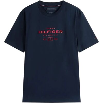 Tommy Hilfiger Hilfiger Stack Graphic Tee M DESERT SKY M Tommy Hilfiger Hilfiger Stack Graphic Tee M DESERT SKY M