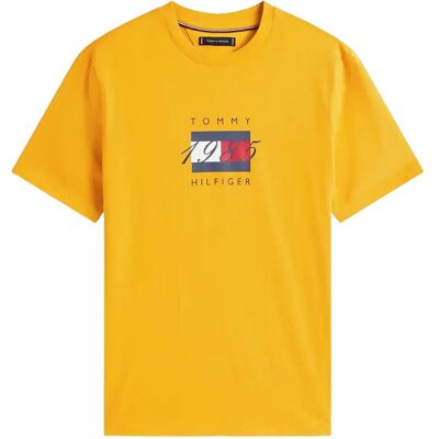 Tommy Hilfiger Linear Flag Graphic Tee M COUNTRYSIDE YELLOW M Tommy Hilfiger Linear Flag Graphic Tee M COUNTRYSIDE YELLOW M
